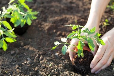 Тематическое фото Автор канала