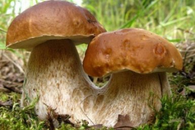 Тематическое фото Автор канала