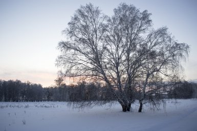 Тематическое фото ИА OmskMedia