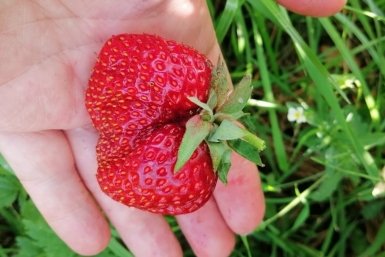 Тематическое фото Автор канала