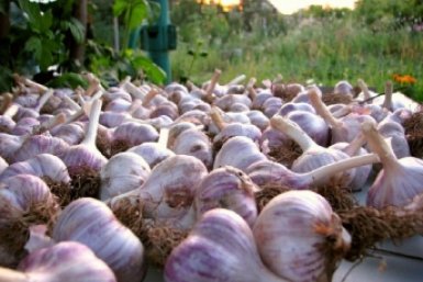 Тематическое фото Автор канала