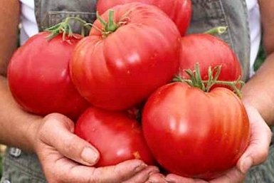 Тематическое фото Автор канала