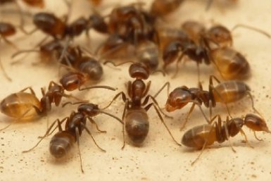 Тематическое фото Автор канала