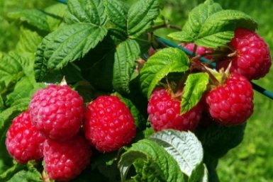 Тематическое фото Автор канала