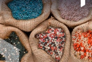 Тематическое фото Автор канала