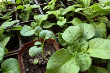 Тематическое фото ИА OmskMedia