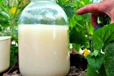 Тематическое фото Автор канала