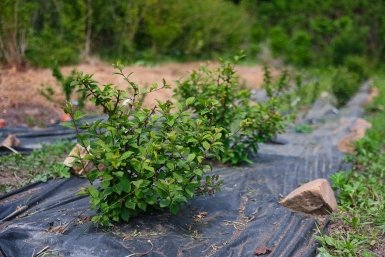 Тематическое фото ИА OmskMedia