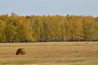 Тематическое фото Евгений Овдеенко, ИА OmskMedia