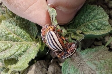 Тематическое фото От автора