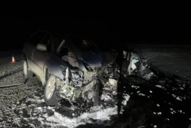 Шесть человек пострадали в ДТП на федеральной трассе под Омском