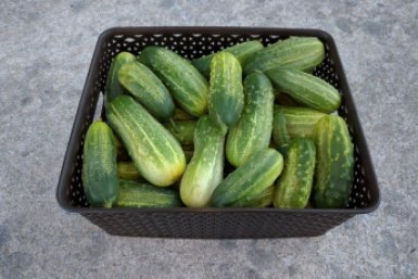 Тематическое фото pxhere.com