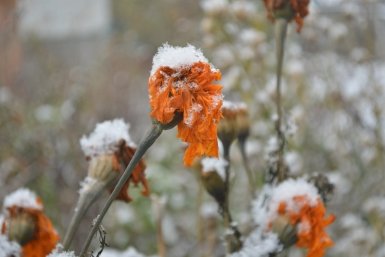 Снег, потепление и новые морозы: погода в Омске на 10 дней марта