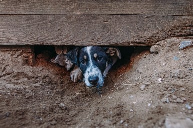 Тематическое фото ИА OmskMedia