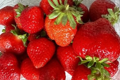 Тематическое фото ИА OmskMedia