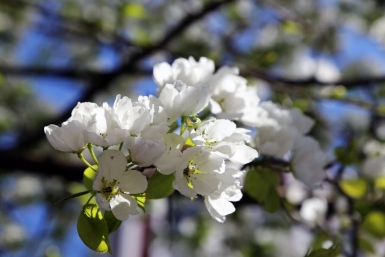 Долгожданное тепло накроет Омск: синоптики обещают +20, но с ночными заморозками — прогноз на 3 дня