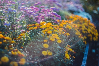 Тематическое фото ИА OmskMedia