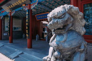 Тематическое фото Мария Смитюк, ИА PrimaMedia