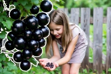 Тематическое фото сгенерировано при помощи ИИ