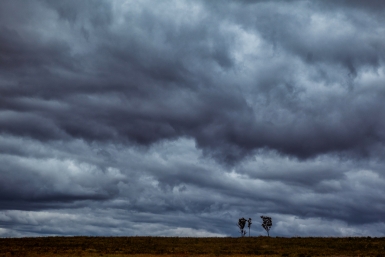 Резкое похолодание до -1 и снег: Омск накрывает мощный атмосферный фронт
