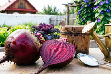 Свёкла сходит с ума от этой смеси: 1 ложка на ведро превращает урожай в сахарную "бомбу"