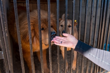 Тематическое фото ИА OmskMedia