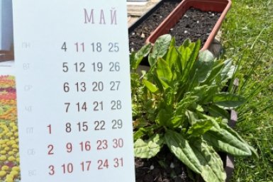 Дачники, запишите, что нужно сеять на рассаду и грунт в мае 2026 года