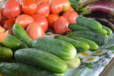 Как изменились цены на продукты за неделю в Ставропольском крае ИА ЕАОMedia