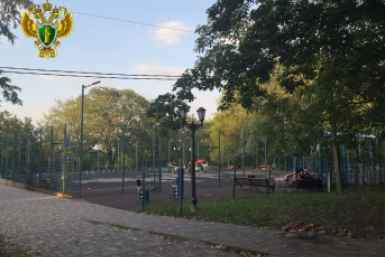 Прокуратура проверяет сообщения о нападении собак на 5-летнего мальчика в Пятигорске Прокуратура Ставрополья