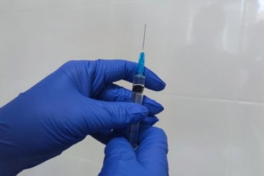 Тематическое фото Елена Гиневская, ИА Stavropol.Media