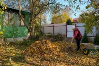 Тематическое фото Создано при помощи ИИ