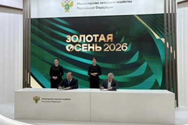 На Ставрополье займутся созданием высокопродуктивных сортов земляники Пресс-служба СтГАУ
