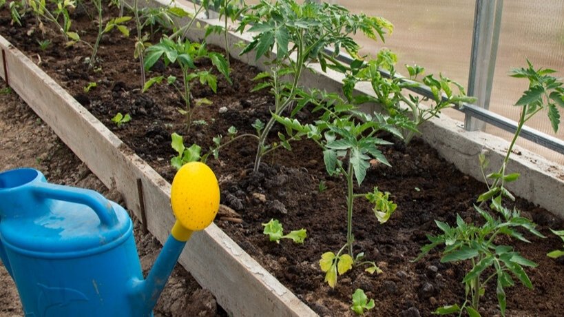 Тематическое фото О Фазенде. Загородная жизнь