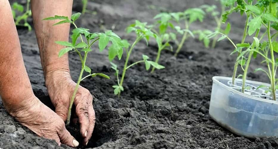 Тематическое фото Автор канала