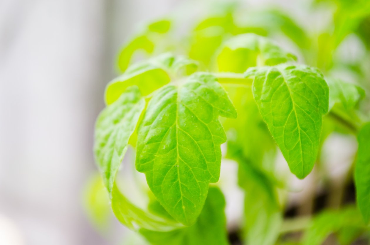 Тематическое фото pxhere.com (18+)