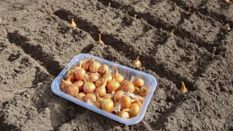 Тематическое фото Автор канала