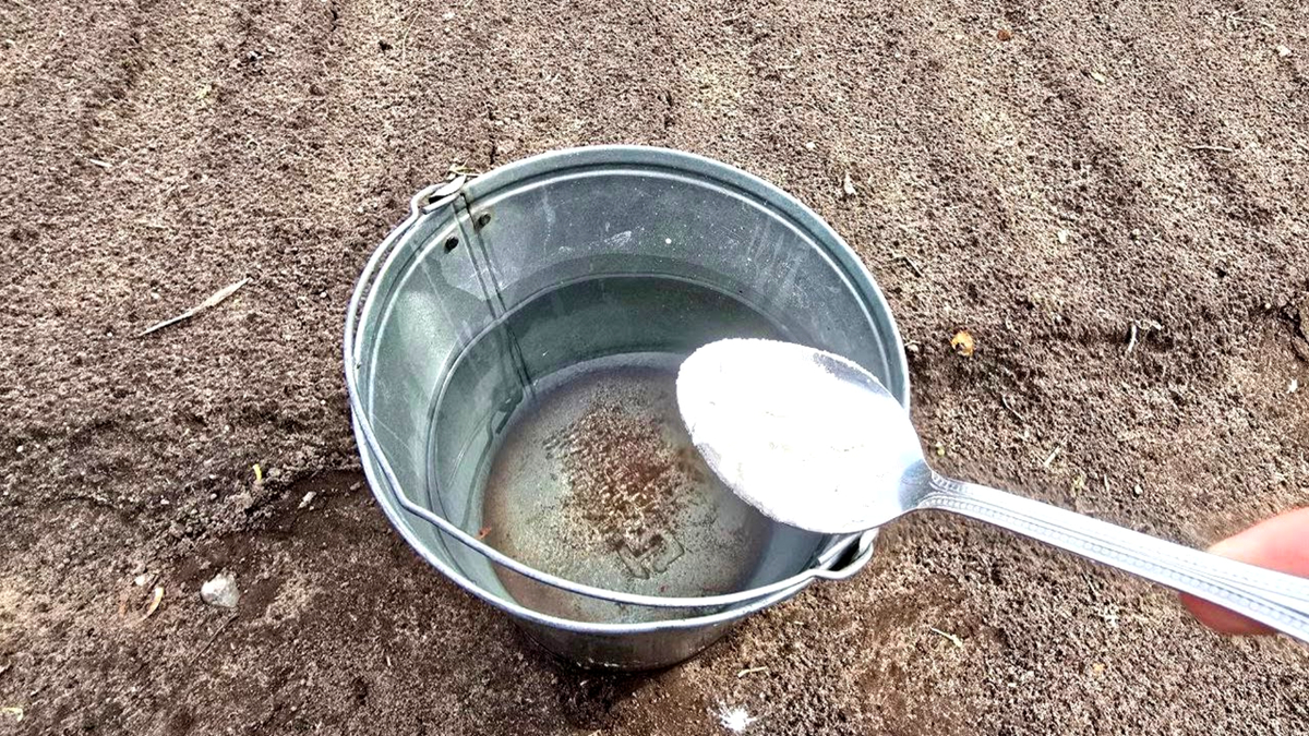 Тематическое фото Автор канала