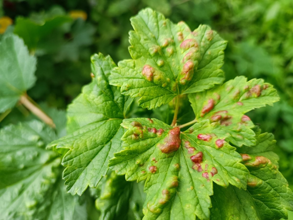 Тематическое фото Автор канала