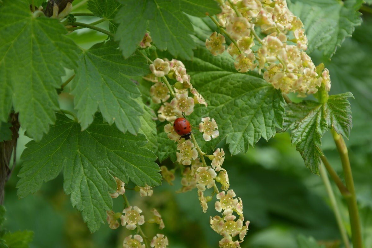 Тематическое фото Автор канала