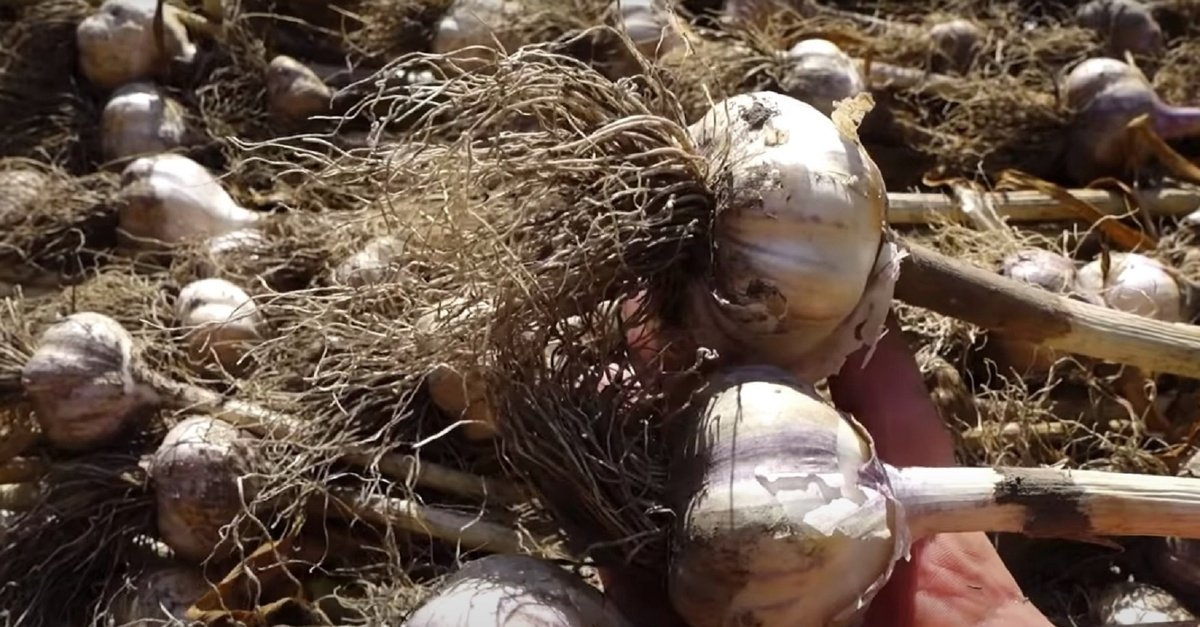 Тематическое фото Автор канала