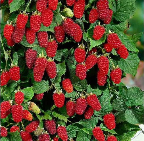 Тематическое фото Автор канала