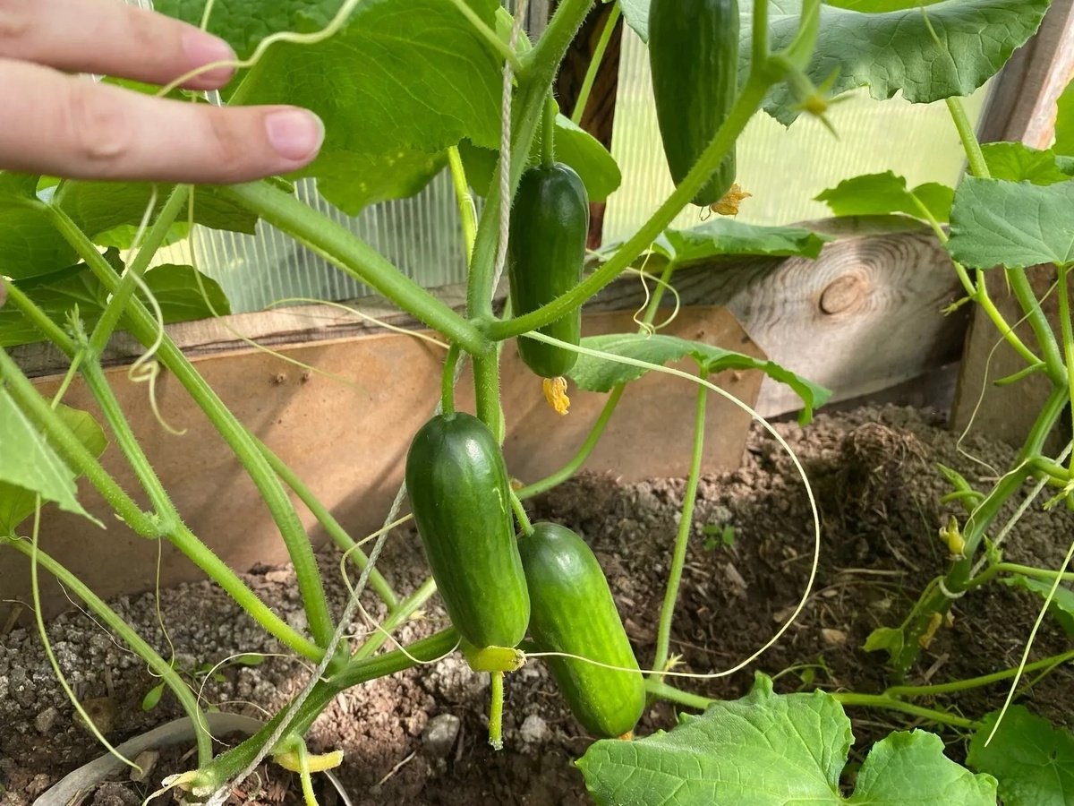 Тематическое фото Автор канала