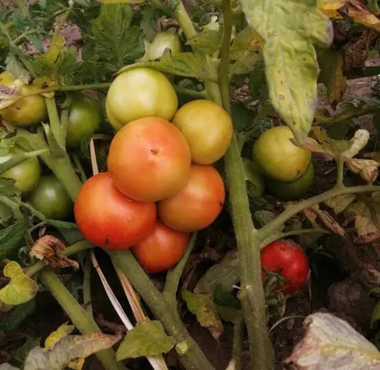 Тематическое фото Автор канала