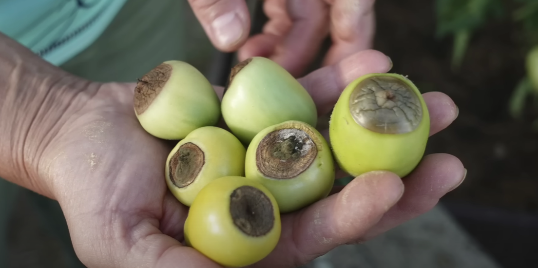 Тематическое фото Автор канала