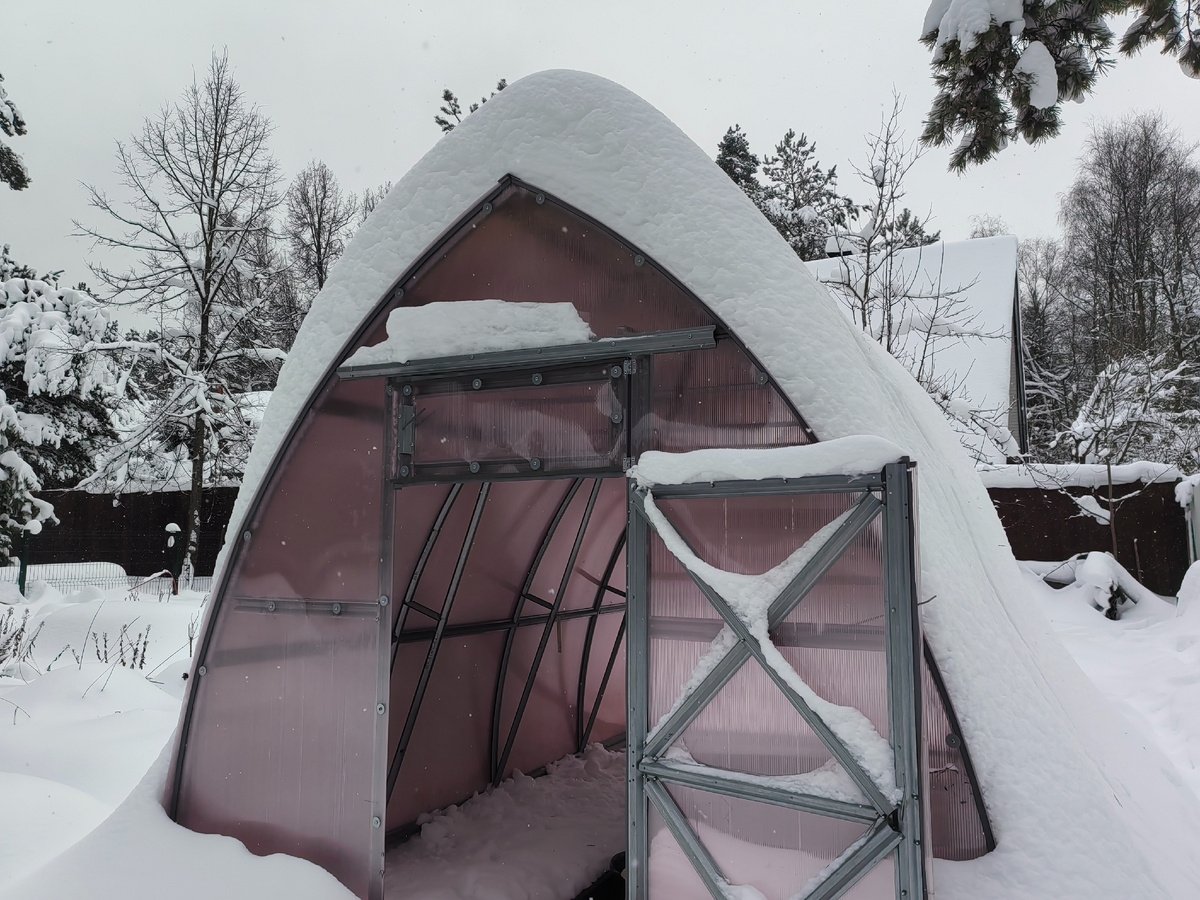 Тематическое фото Автор канала