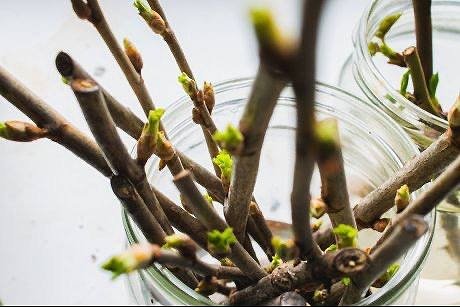 Тематическое фото Автор канала