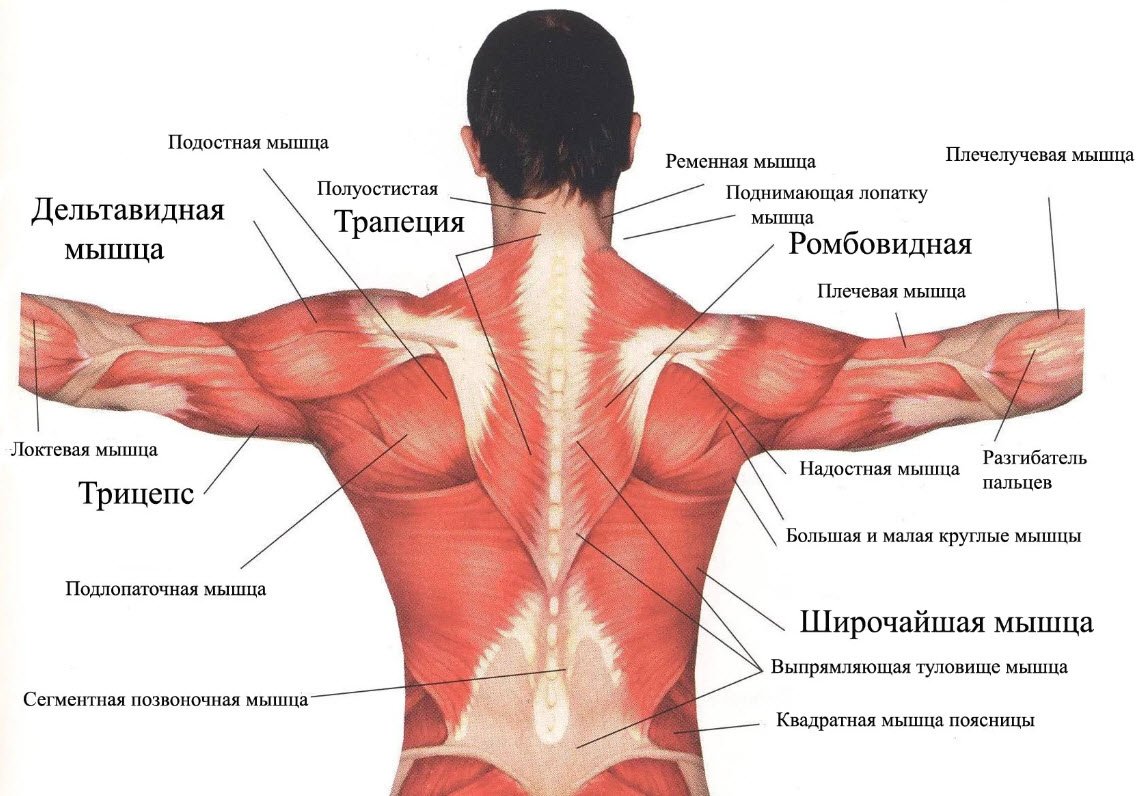 Тематическое фото Автор канала