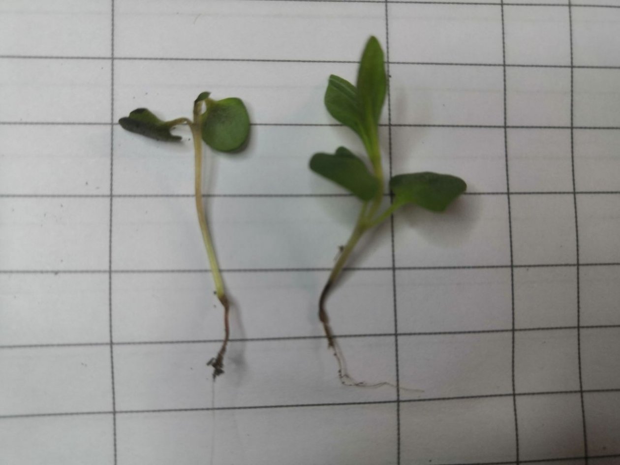 Тематическое фото Автор канала