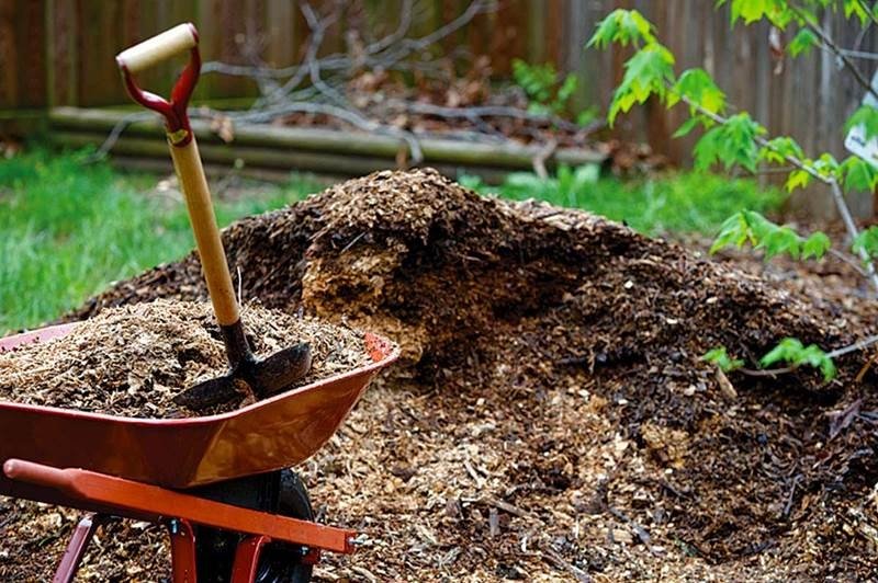 Тематическое фото Автор канала