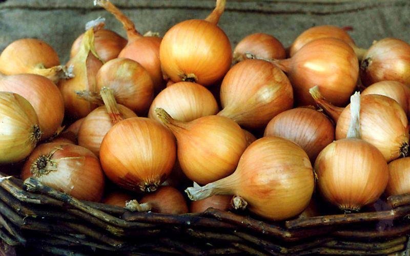 Тематическое фото Автор канала